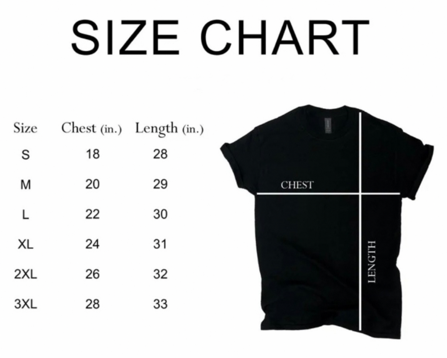 Definitely Not Boring Tshirt